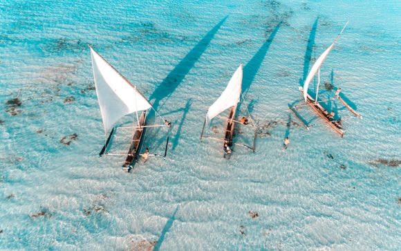 Uw optionele excursies