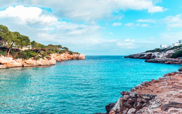 Uw optionele excursies