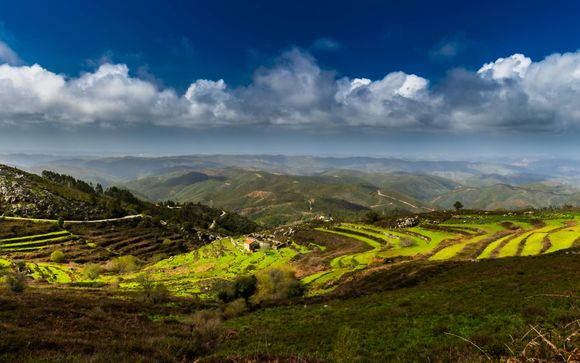 Kies voor extra opties