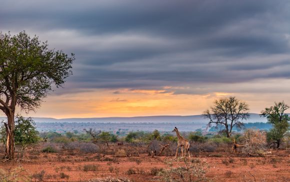 Welkom in... Namibië en Zambia!