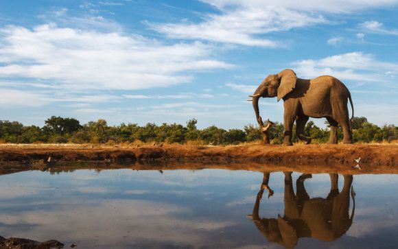 Welkom in... Zuid-Afrika!