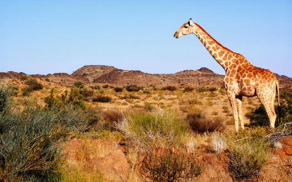 Kies voor extra opties