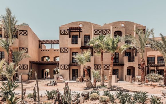 Cook's Club El Gouna 4* - The Hipster Adult Only Spirit 
