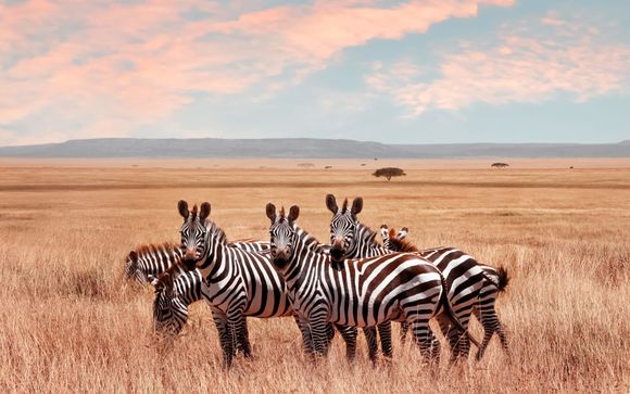 Welkom in... Tanzania!