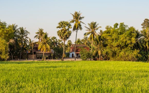 Kies voor een extra optie 