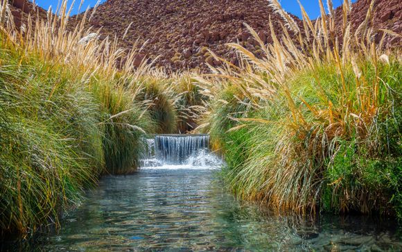 Kies voor extra opties