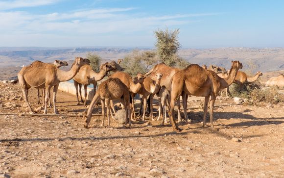 Je optionele excursies