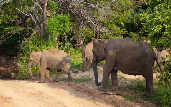 Kies voor extra opties