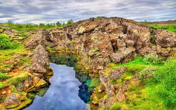 Uw programma in detail