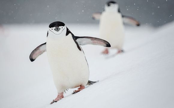 Een gedetaillerde omschrijving van uw expeditie