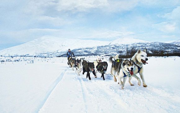 Uw verblijf van 5 nachten