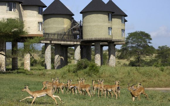 Severin Sea Lodge Jacaranda 4 Safari Mombasa Tot 70 Voyage Prive