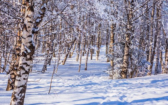 Welkom in... Finland