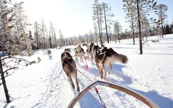 Uw reisprogramma voor aanbieding 1 (IJsland en Groenland)