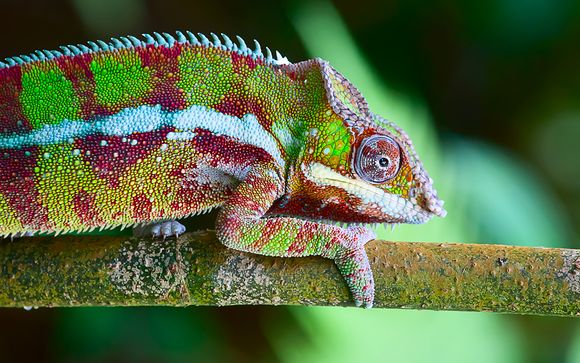 Gedetailleerde omschrijving van uw programma