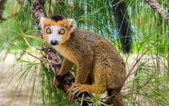 Welkom in... Madagaskar 