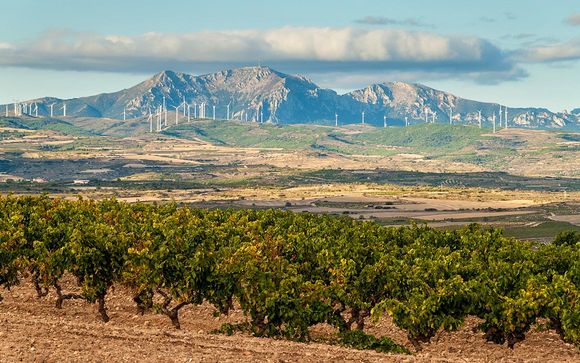 Uw programma van 7 nachten
