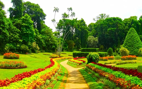 Extra opties in Sri Lanka