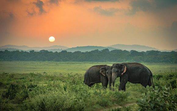 Extra opties in Sri Lanka