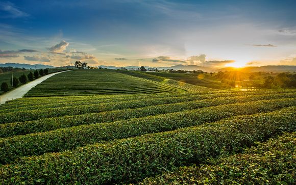 Uw programma van 6 nachten
