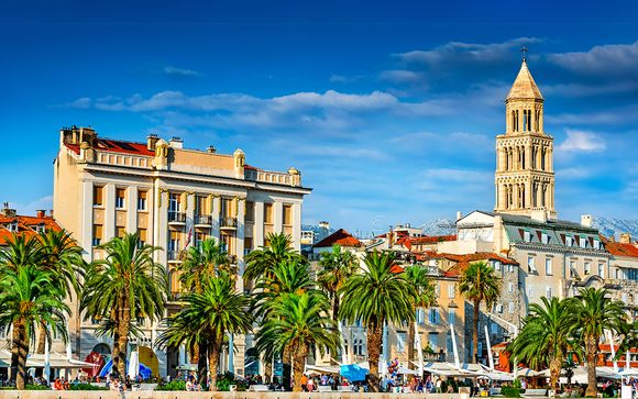 Uw programma in detail