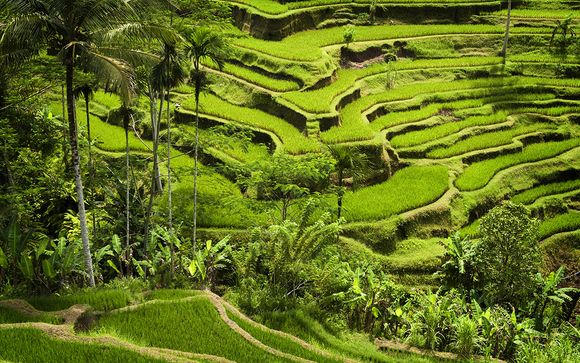 Uw reisprogramma in 9 nachten