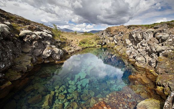 Uw programma van 7 nachten