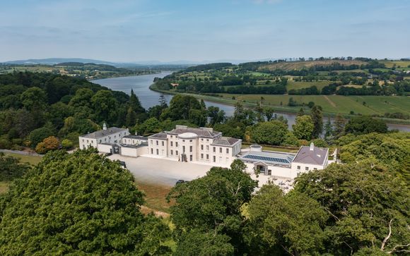 The Forest at Mount Congreve Gardens