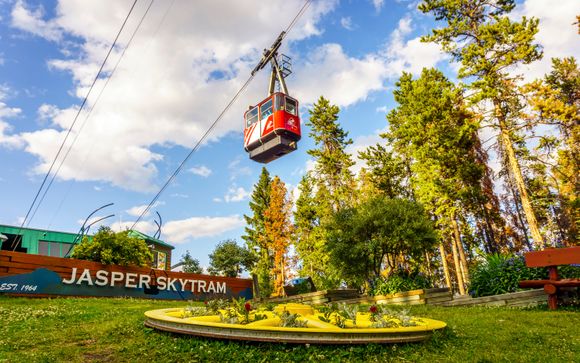 Your optional excursions