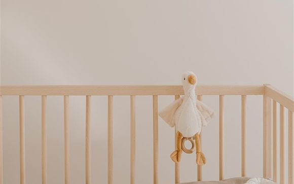 Your optional services