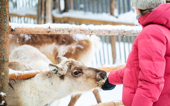 Your included excursions