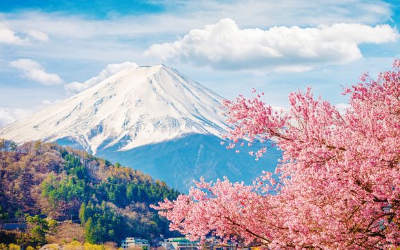 Your itinerary in detail