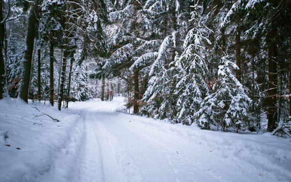 Your optional excursions