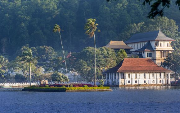 Your itinerary in detail