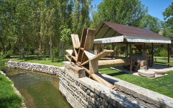 Your optional excursions