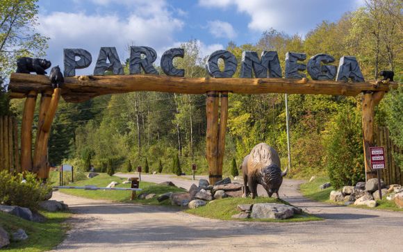 Your optional excursions