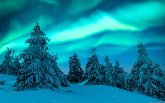 Your itinerary in detail