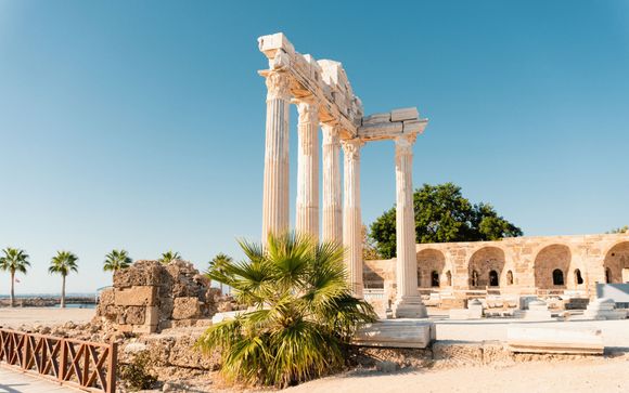 Your optional services