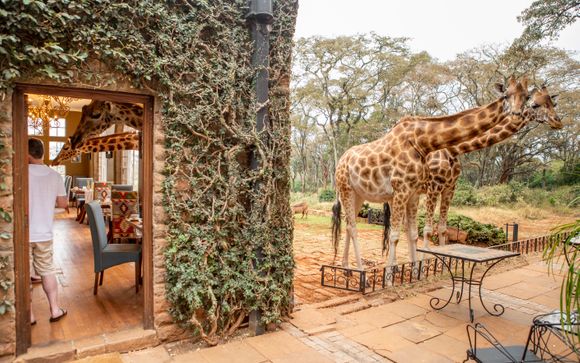 Your included extras & excursions 