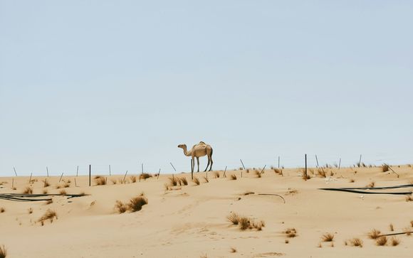 Your optional excursions & extras