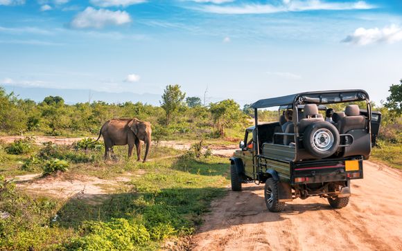 Your itinerary in detail