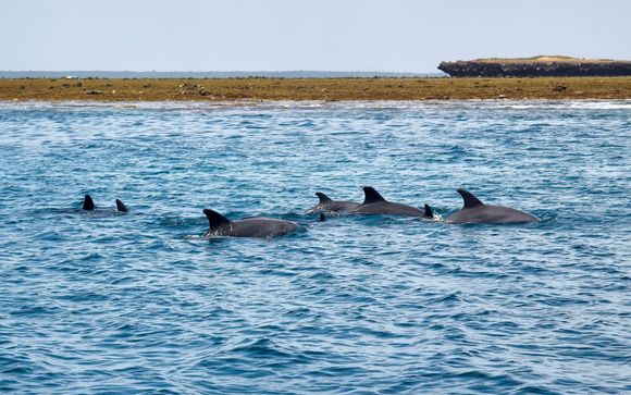 Your included extras & excursions 