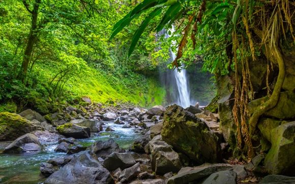 Your optional excursions & extras