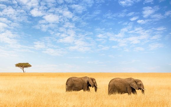 Your itinerary in detail