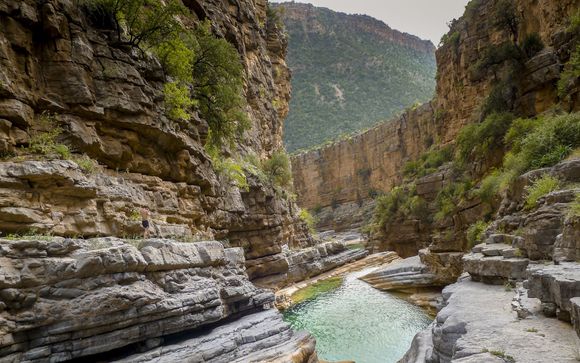 Optional excursions & extras