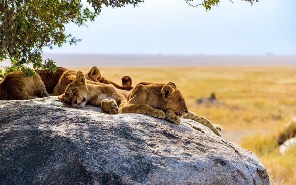 Your itinerary in detail