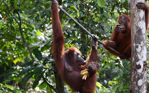 Your itinerary in detail