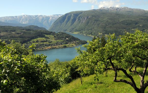 Your itinerary in detail