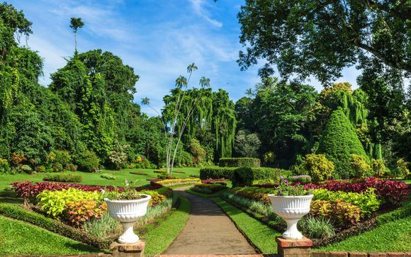 Your optional excursions