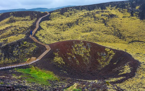 Your itinerary in detail